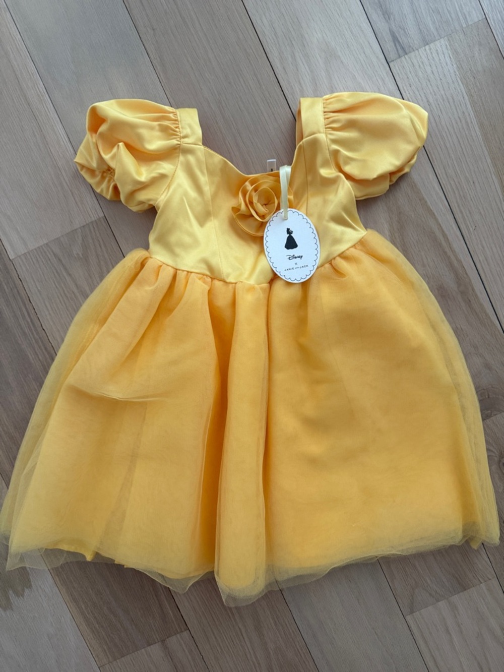 Janie and Jack Disney Collab Belle Dress